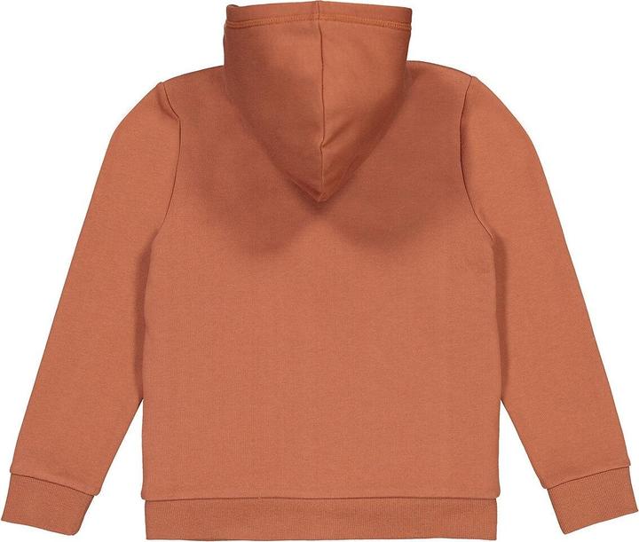 Actual product image La Redoute Collections Sweat jacket (94)