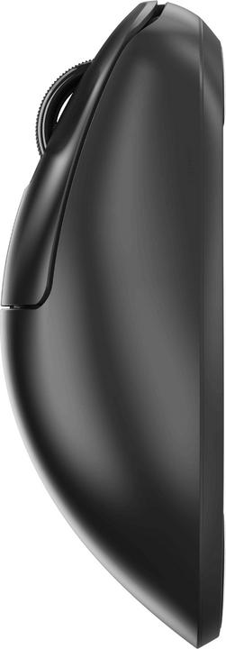 Actual product image Pulsar Xlite V4 - Medium Size 2 (Wireless, Cable)