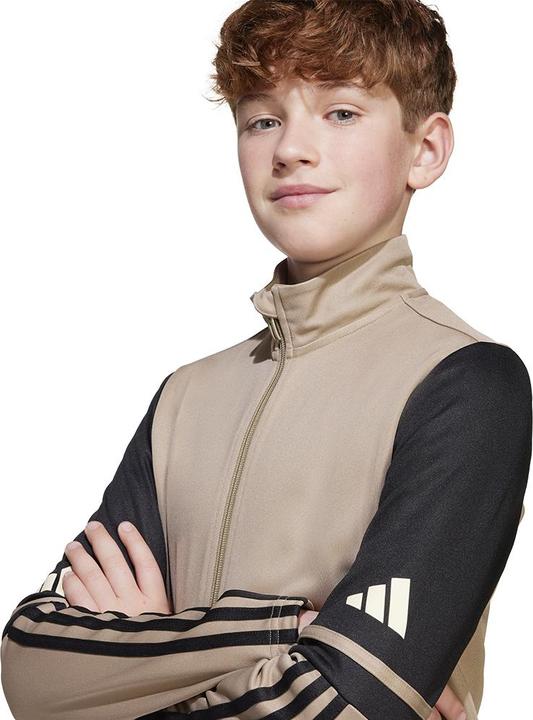 Produktbild adidas Squadra 25 Trainingsjacke Kids (152)