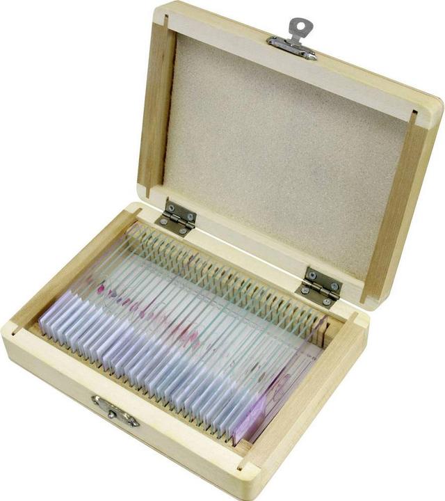 Actual product image Bresser Permanent preparations: Histology