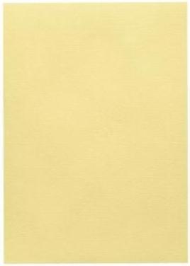 Actual product image Artoz 1001 cards chamois (A4, 220 g/m², 5 x)