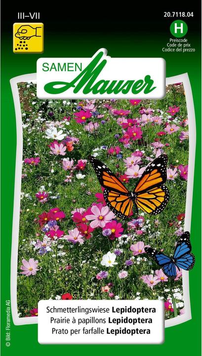 Samen Mauser Butterfly meadow Lepidoptera (Lawn reseed)