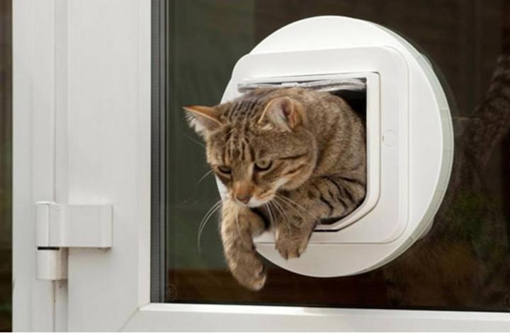 Image du produit SureFlap Micropuce (Chatière à micropuce)
