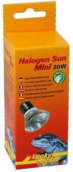 Lucky Reptile Projecteur halogène Sun Mini 20W 2pcs