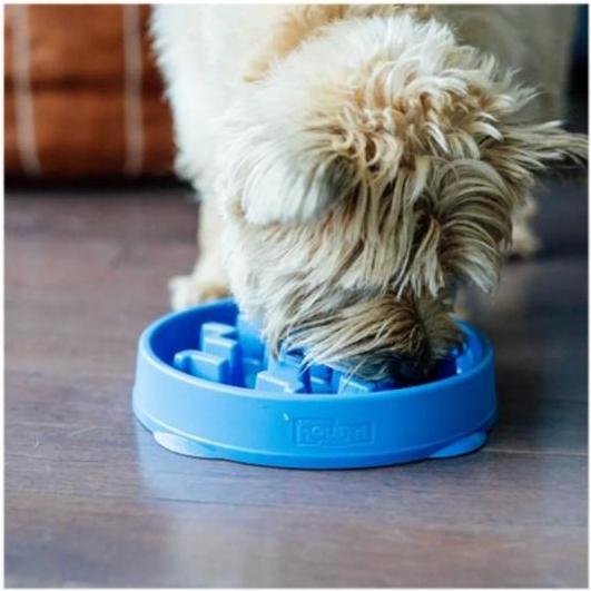 Actual product image Outward Hound Slow bowl Fun Feeder Notch for dogs Mini