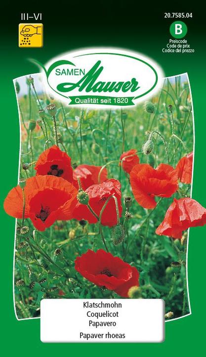 Actual product image Samen Mauser Corn Poppy (Plant seeds)