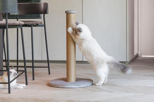 Immagine prodotto Designed by Lotte Yenna (70 cm, Grigio)