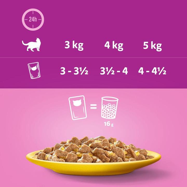 Actual product image Whiskas Freshness bag (Adult, 12 pcs., 1020 g)