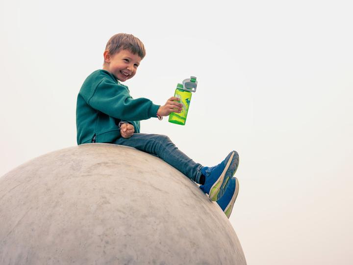 Image du produit Sigg Viva One (0.50 l)