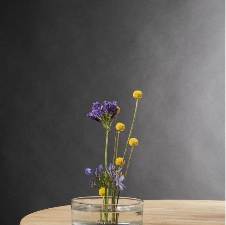 Image du produit Esschert Design Piquet Kenzan S (4.50 cm, 45 cm)