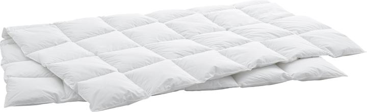 Immagine prodotto Swiss Dream by billerbeck Cassetta media (1110 g, 240 x 240 cm)