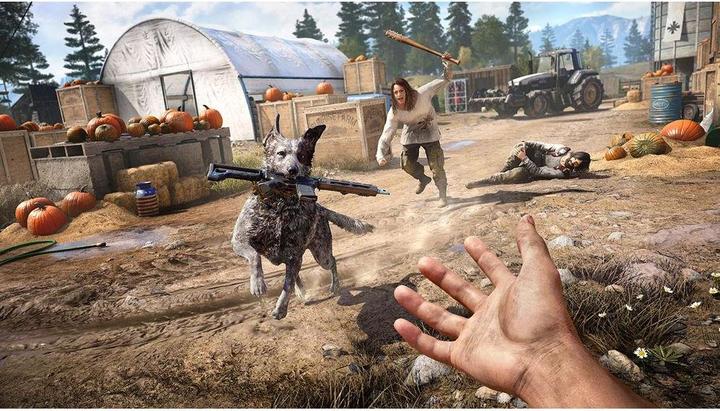 Actual product image Ubisoft Far Cry 4 & Far Cry 5 - Double Pack (PS4, DE)