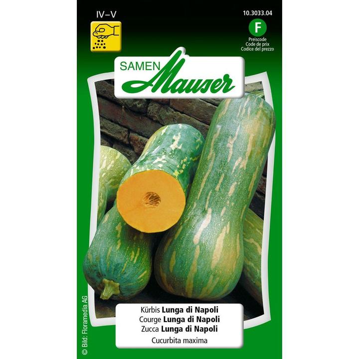 Image du produit Samen Mauser Courge Lunga di Napoli (Graines de légumes)