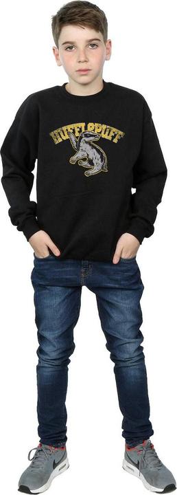 Immagine prodotto Hufflepuff Sport Emblem Felpa Ragazzi (140, 146)