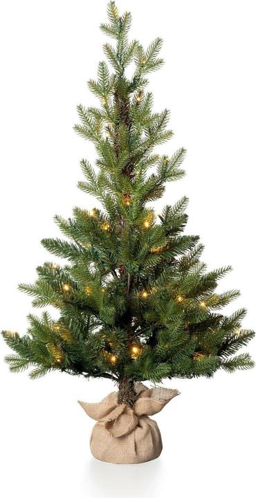 STT Nordic Tree