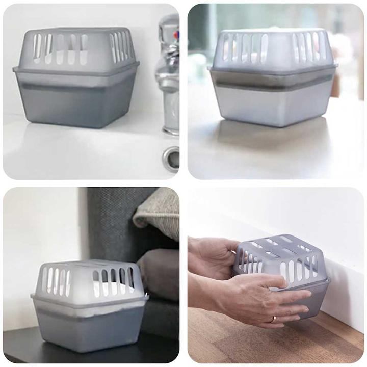 Actual product image VidaXL Rhiamon (36 x)
