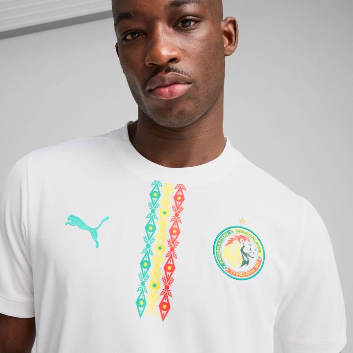 Image du produit Puma FSF Home Jersey Replica (XL)