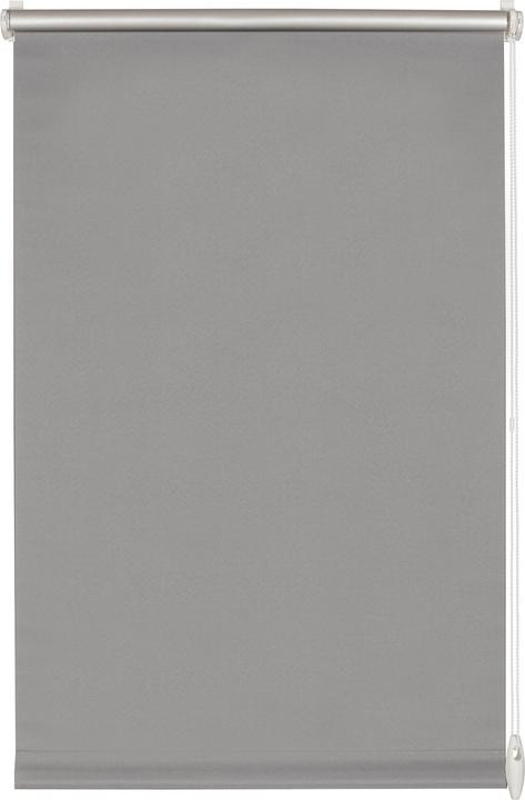 Gris