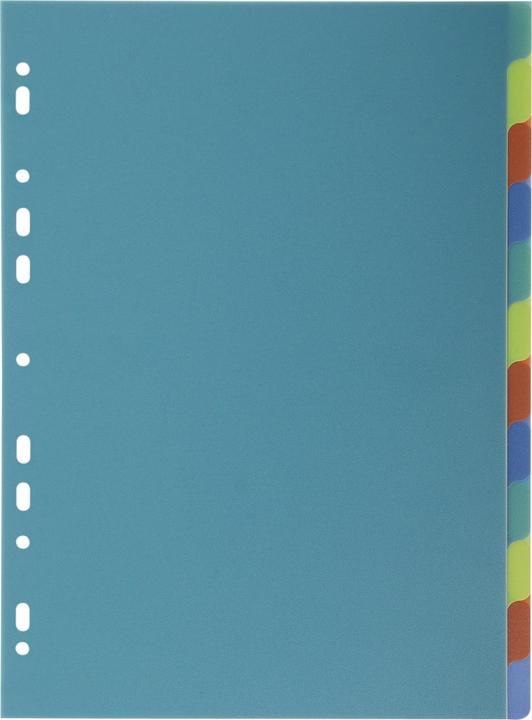 Image du produit Exacompta Intercalaires poplypropylène recyclé Forever® 12 positions - A4 - Couleurs assorties
