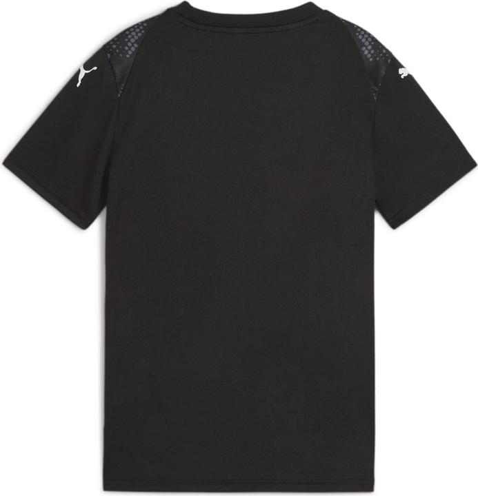 Actual product image Puma teamULTIMATE Jersey Jr (128)