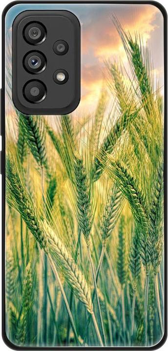 Cornfield