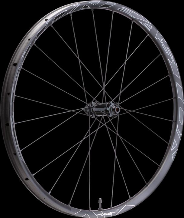 Produktbild Easton EA90 AX Road CLN Disc Front Wheel 12x100/15x100 (Vorderrad, 28")
