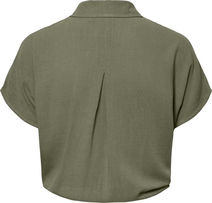 Verde lichene intenso