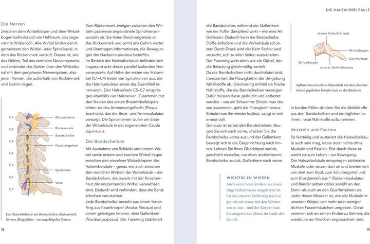 Immagine prodotto Nacken Schmerzen selbst behandeln (Tedesco, Roland Liebscher-Bracht, Petra Bracht, 2021)