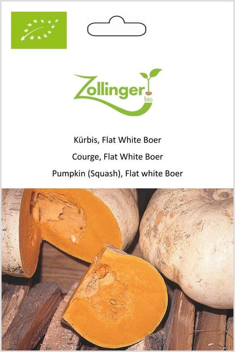 Image du produit Zollinger Bio Courge, forfait White Boer (Graines de plantes)