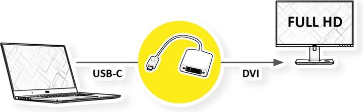 Actual product image Roline USB-C to (DVI, 10 cm)
