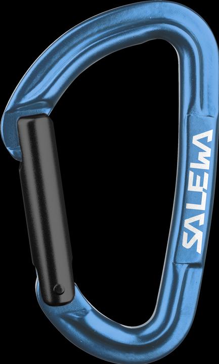 Image du produit Salewa Mousqueton Hot G3 Straight