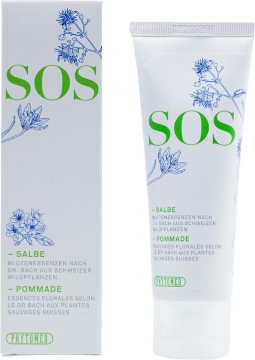 Actual product image Phytomed SOS Salbe (1 x, 10 ml, 16 g)