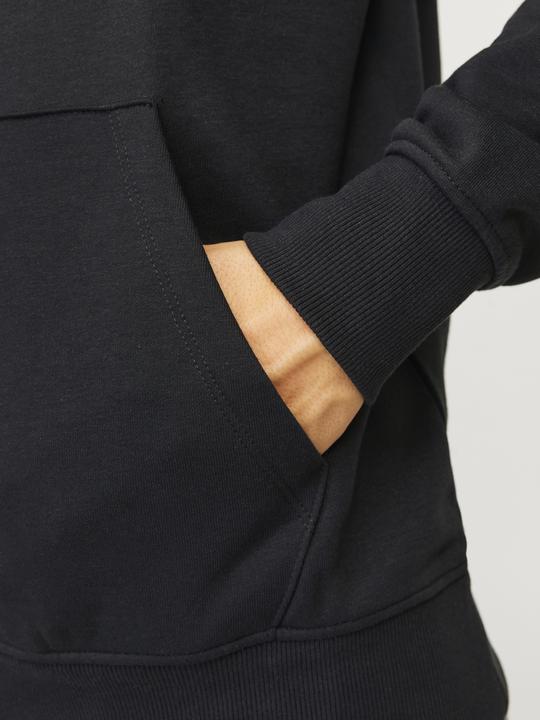 Immagine prodotto Jack & Jones Jorbronx Arch Big Sweat Hood Ln (L)