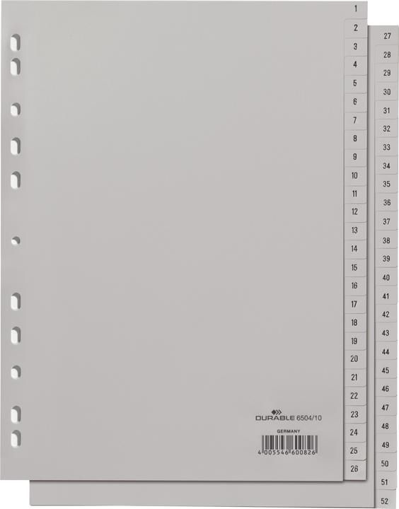 Immagine prodotto Durable Registro A4 1-52