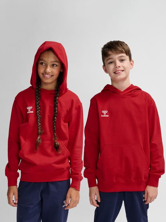 Actual product image hummel HMLGO 2.0 HOODIE KIDS (116)