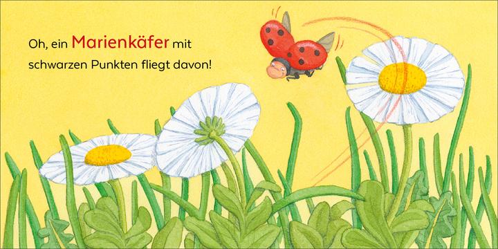 Immagine prodotto Brosche:Wer hat sich denn hier versteck (Tedesco, Spilla Heidemarie, Mele Brink, 2025)