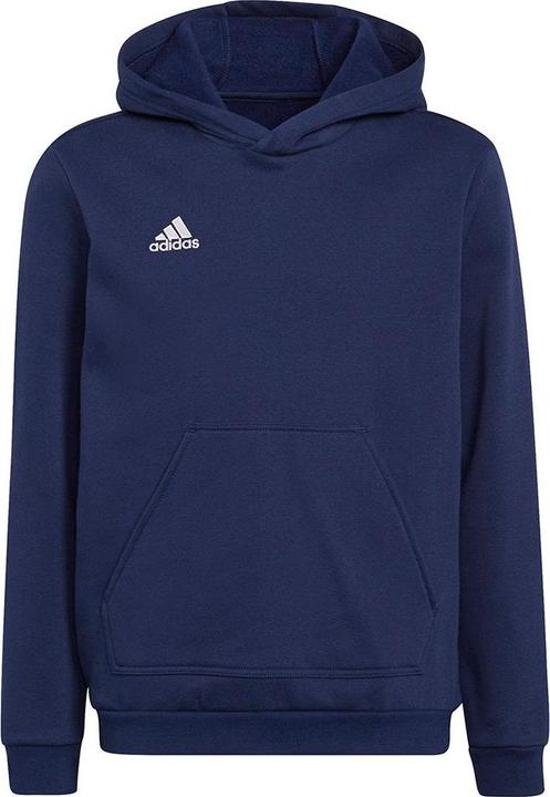 Produktbild adidas Entrada 22 Kapuzenpullover Kinder (164)