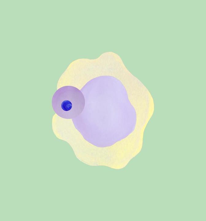kollektiv vier Cycle (180 x 200 cm)