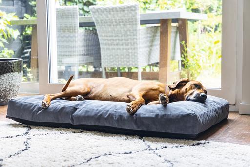 Actual product image Beeztees Bz Orthopedic Rest Cush Veo Dgrey 100x70 (Dog)