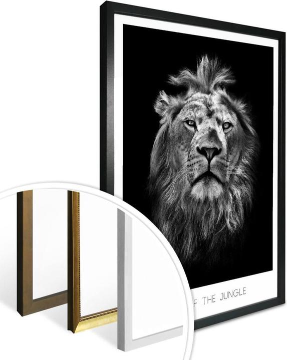 Immagine prodotto Trenddeko Leone - Re della giungla (100 x 120 cm)