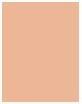 Produktbild MAC Cosmetics Studio Radiance Face and Body Radiant Sheer Foundation (W2)