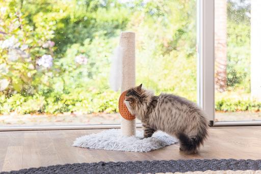 Image du produit Beeztees Pflegehandschuh (Chat)