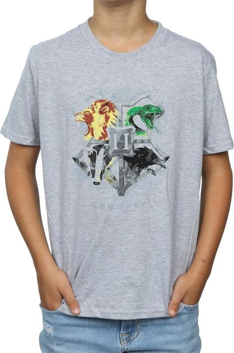 Produktbild Hogwarts Painted Crest TShirt Jungen (140, 146)
