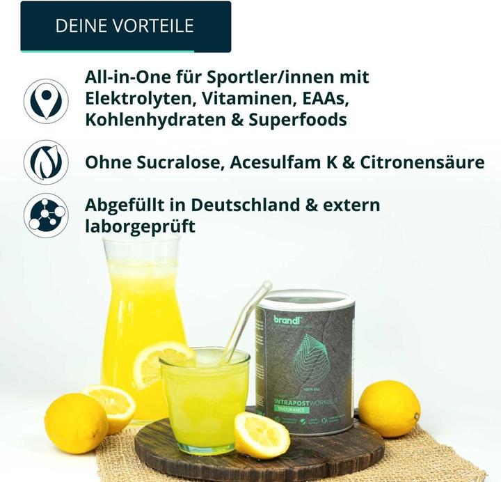 Produktbild Brandl-Nutrition Endurance Vegan (Zitrone, 1 Stk., 600 g)