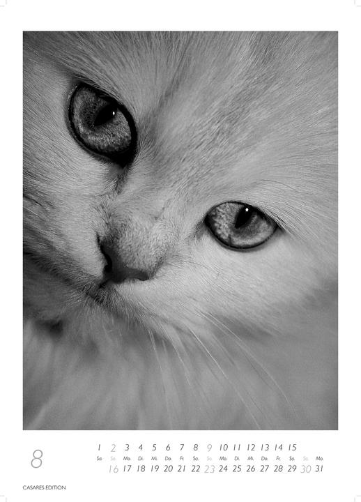 Actual product image Cats 2026 S 29x21cm (29 x 21 cm, German)