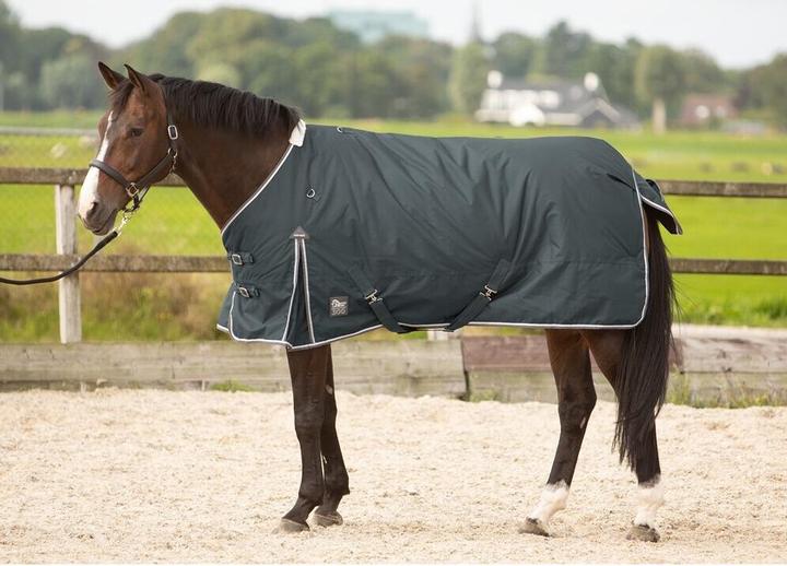 Image du produit Harry's Horse Thor 300