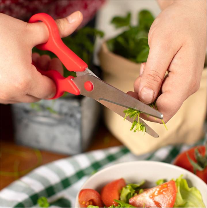 Image du produit Kuhn Rikon Ciseaux de ménage (21 cm)