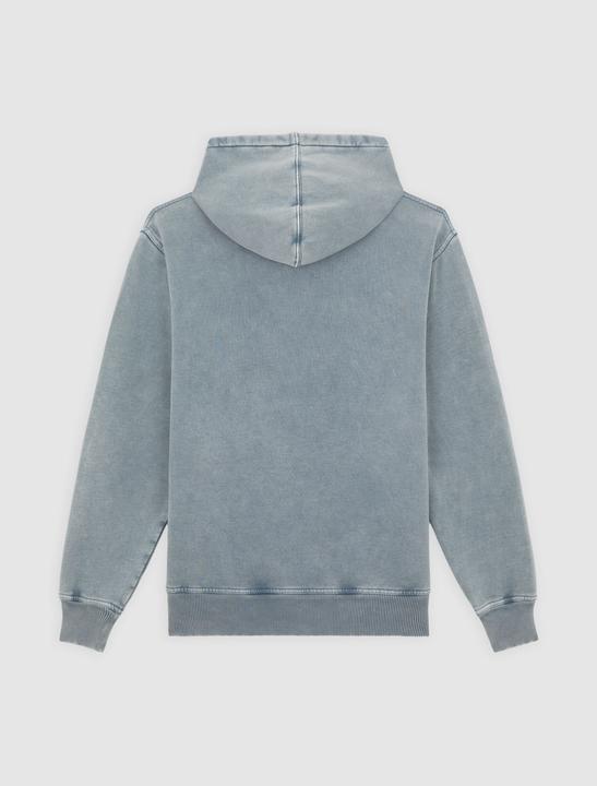 Actual product image Dickies Plentywood Hoodie Stormy Weather (M)