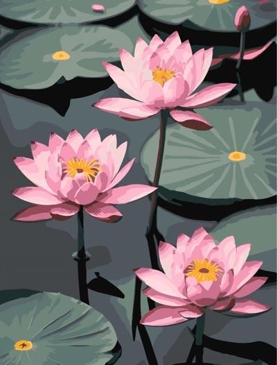 Produktbild Artist Malen nach Zahlen - Fragile Lotuses 30x40cm