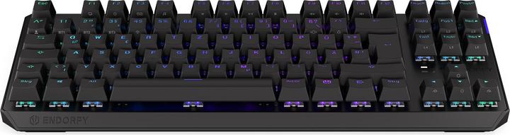 Actual product image Endorfy Thock TKL (DE, Cable, Wireless)